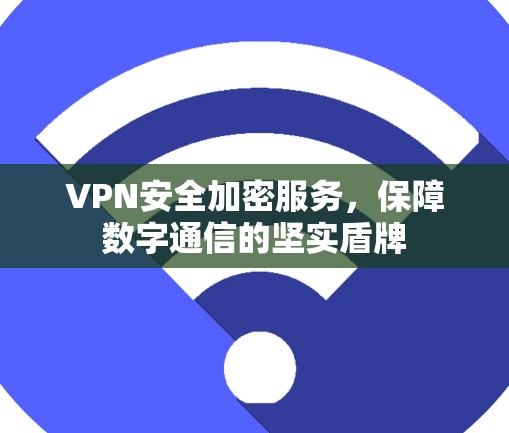 VPN安全加密服务，保障数字通信的坚实盾牌