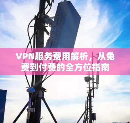 VPN服务费用解析，从免费到付费的全方位指南