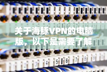 关于海豚VPN的电脑版，以下是需要了解的关键信息和建议