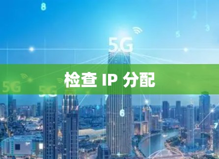 检查 IP 分配