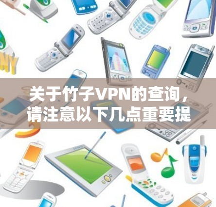 关于竹子VPN的查询，请注意以下几点重要提示