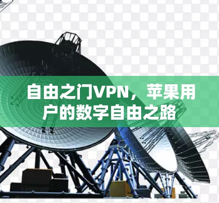 自由之门VPN，苹果用户的数字自由之路