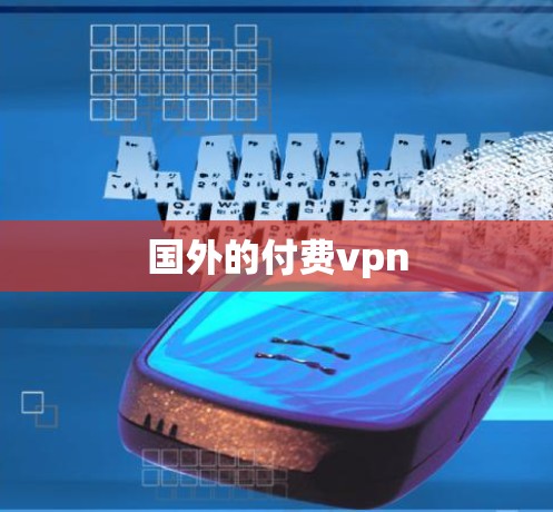 国外的付费vpn