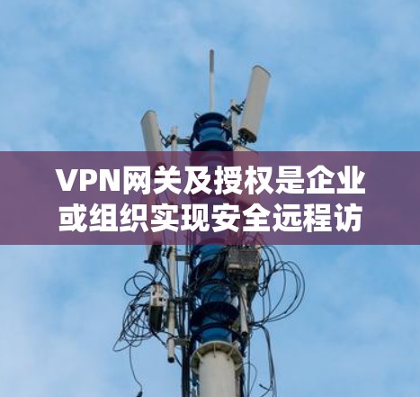VPN网关及授权是企业或组织实现安全远程访问内部网络资源的核心组件，以下是详细解析