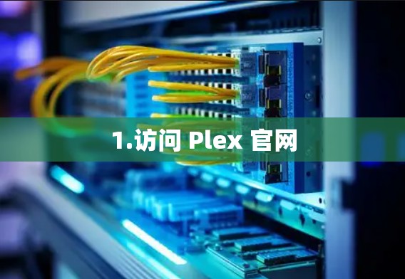 1.访问 Plex 官网