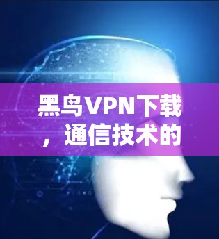 黑鸟VPN下载,通信技术的网络安全解决方案