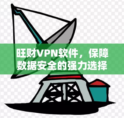 旺财VPN软件，保障数据安全的强力选择