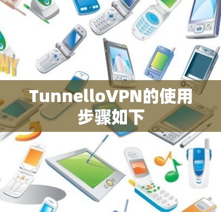 TunnelloVPN的使用步骤如下