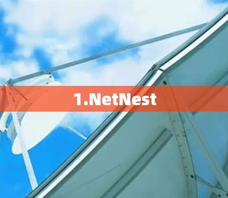 1.NetNest
