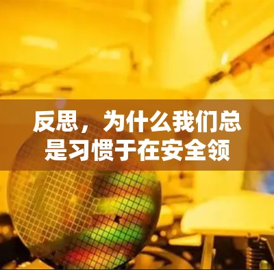 反思,为什么我们总是习惯于在安全领域被忽视?