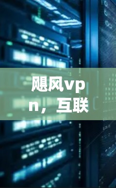 飓风vpn，互联网设备中的智慧守护者