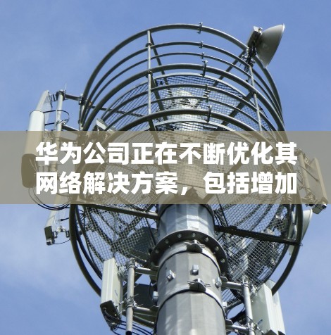 华为公司正在不断优化其网络解决方案，包括增加端口加密和端口过滤功能，以提升数据传输的安全性和用户体验。未来，华为可能会进一步完善其VPN功能，以更好地保护用户数据