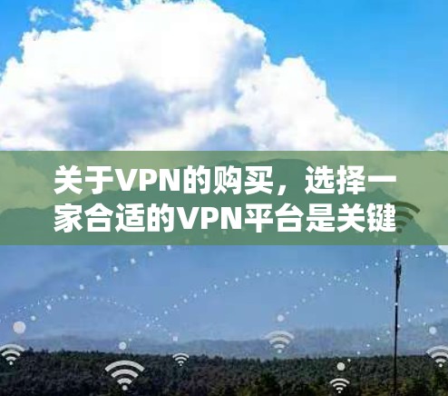 关于VPN的购买，选择一家合适的VPN平台是关键。以下是几种常见的VPN平台及其特点，供你参考