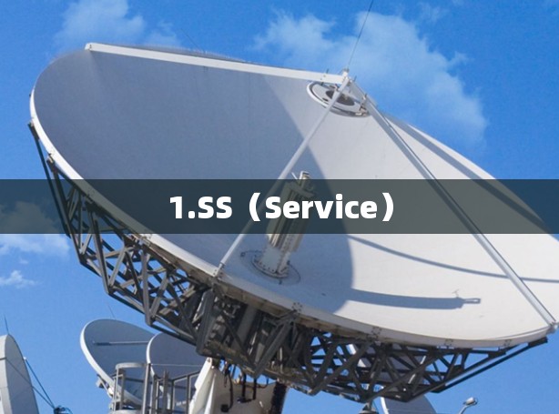 1.SS（Service）