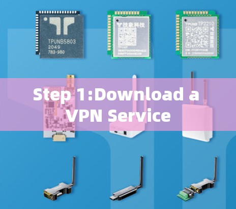 Step 1:Download a VPN Service