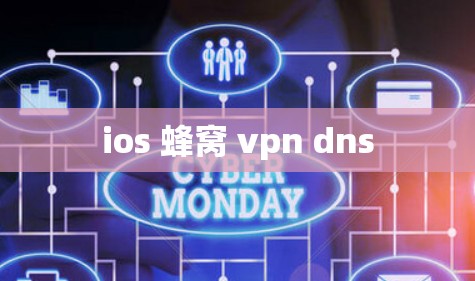 ios 蜂窝 vpn dns
