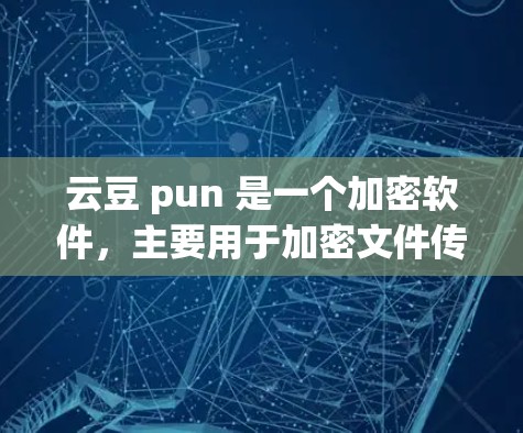 云豆 pun 是一个加密软件，主要用于加密文件传输。如果用户找不到或无法登录云豆 pun，可能是由于以下原因
