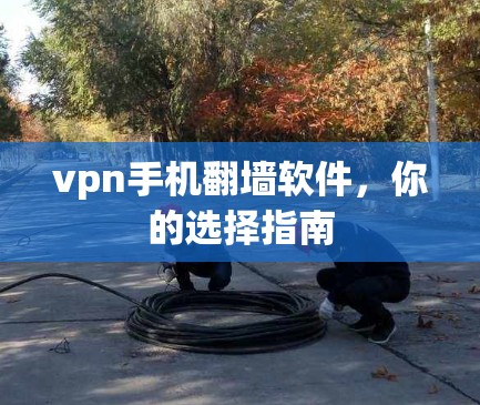 vpn手机<strong>翻墙软件</strong>,你的选择指南