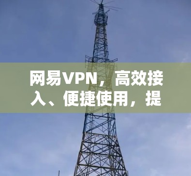 网易VPN，高效接入、便捷使用，提升网络舒适度