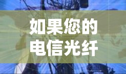 如果您的电信光纤被限制用于VPN,可能是因为美国联邦通信与信息中心(FTC)禁止了VPN服务。以下是可能的原因和解决办法 如果您的电信光纤被限制用于VPN,可能是因为美国联邦通信与信息中心(FTC)禁止了VPN服务。以下是可能的原因和解决办法