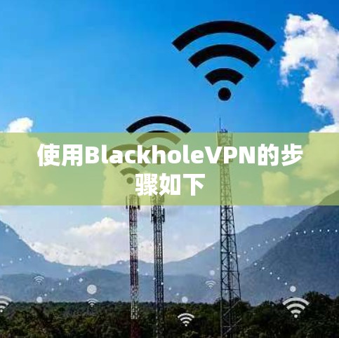 使用BlackholeVPN的步骤如下