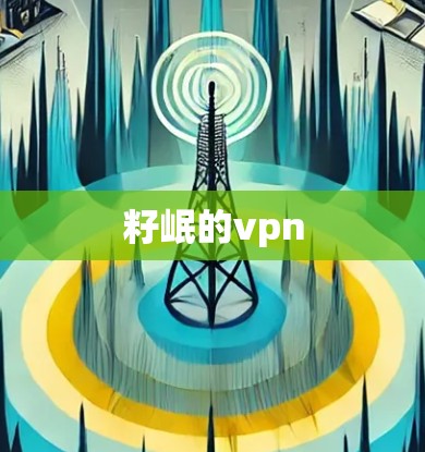 籽岷的vpn