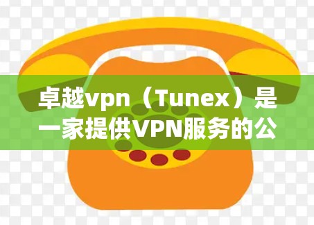 卓越vpn（Tunex）是一家提供VPN服务的公司，用户可以通过其官方网站或应用程序进行登录。卓越vpn的登录方式通常包括Web端登录和手机端登录两种方式