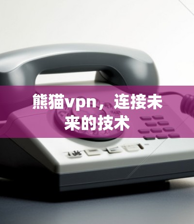 熊猫vpn，连接未来的技术