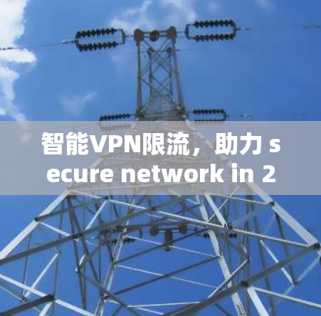 智能VPN限流，助力 secure network in 223