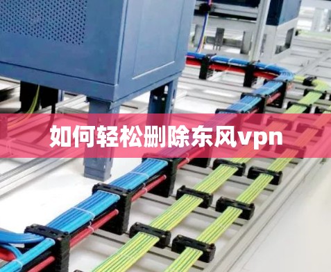 如何轻松删除东风vpn