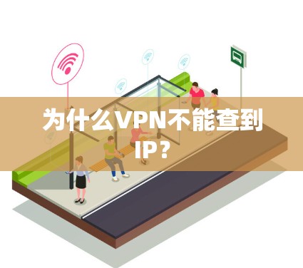 为什么VPN不能查到IP？