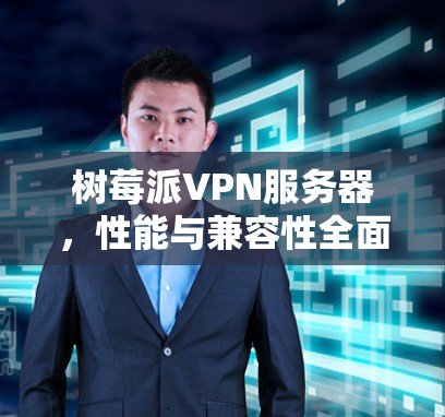 树莓派VPN服务器，性能与兼容性全面解析