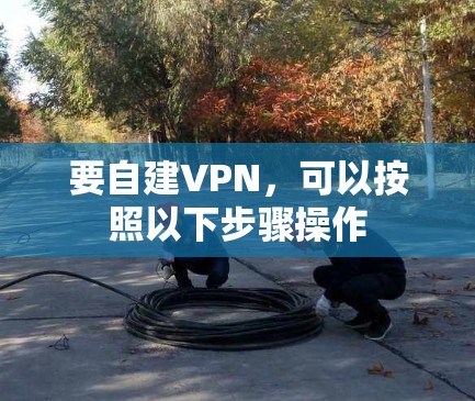 要自建VPN，可以按照以下步骤操作