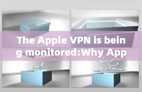 The Apple VPN is being monitored:Why Apple Needs to Change Its Practices