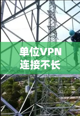 单位VPN连接不长，系统配置与优化建议