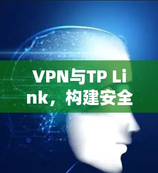VPN与TP Link，构建安全的通信网络
