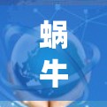 蜗牛vpn电脑版是一个用于VPN连接的软件包，主要用于管理VPN连接。以下是使用蜗牛vpn电脑版的步骤