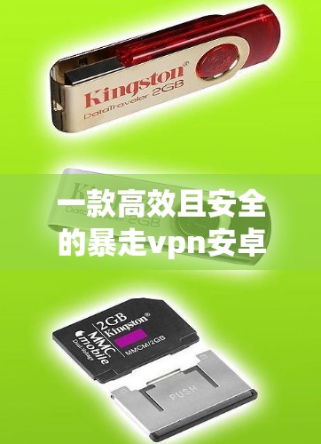 一款高效且安全的暴走vpn安卓应用，值得下载