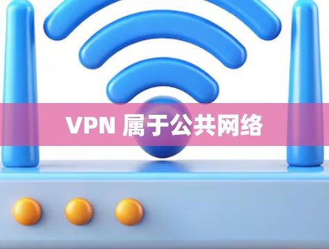 VPN 属于公共网络