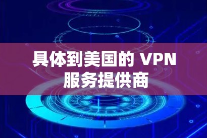 具体到美国的 VPN 服务提供商