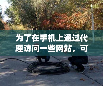 为了在手机上通过代理访问一些网站,可以按照以下步骤操作手机vpn