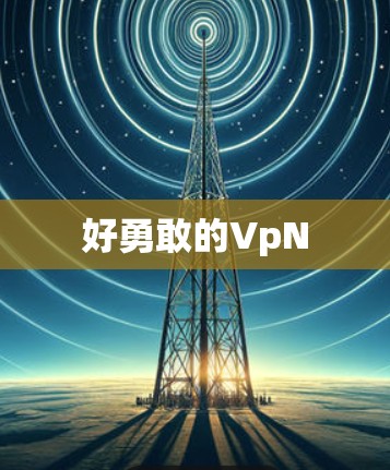 好勇敢的VpN