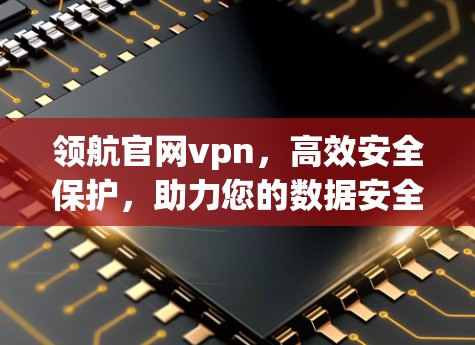 领航官网vpn，高效安全保护，助力您的数据安全