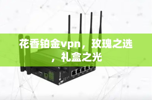 花香铂金vpn，玫瑰之选，礼盒之光