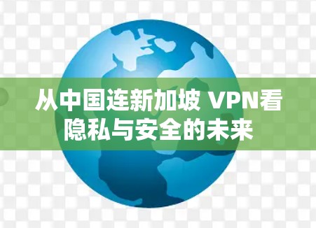 从中国连新加坡 VPN看隐私与安全的未来