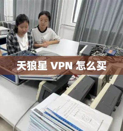 天狼星 VPN 怎么买
