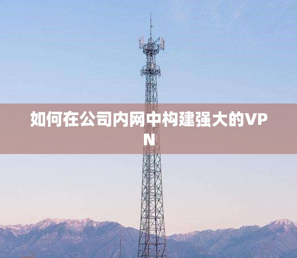 如何在公司内网中构建强大的VPN