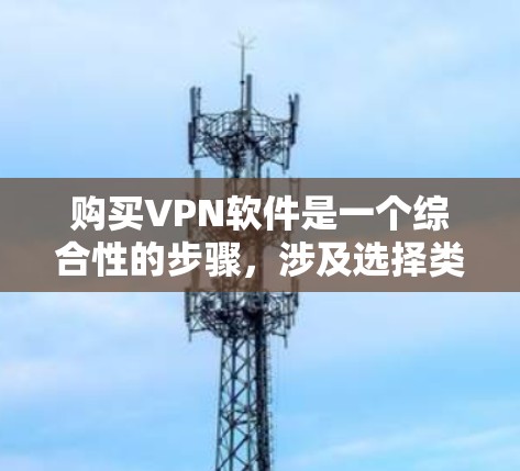 购买VPN软件是一个综合性的步骤，涉及选择类型、选择提供商、设置配置、安全措施以及定期维护。以下是详细的步骤指南