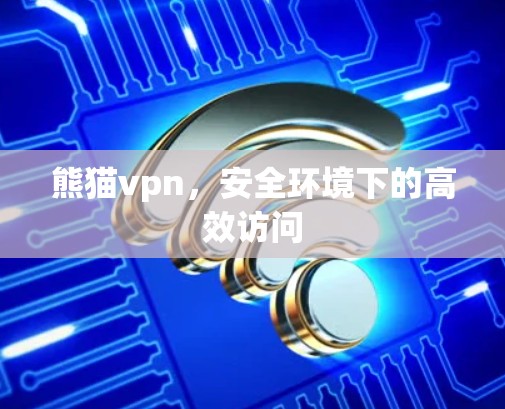 熊猫vpn，安全环境下的高效访问