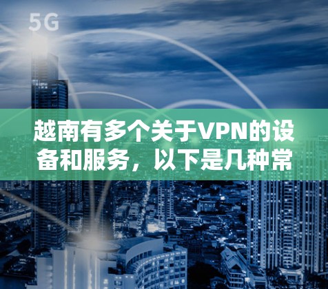 越南有多个关于VPN的设备和服务，以下是几种常见的